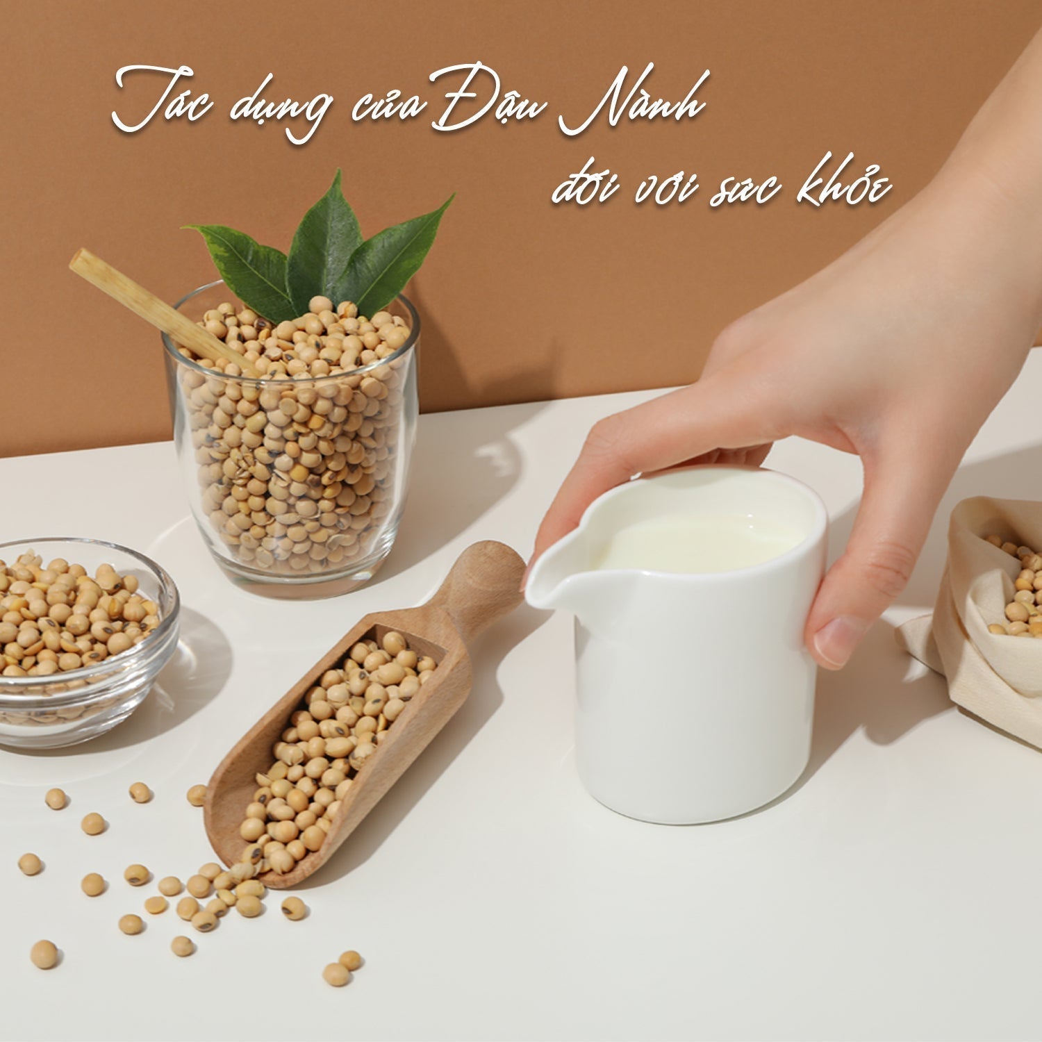 Tác dụng của Đậu Nành đối với sức khỏe