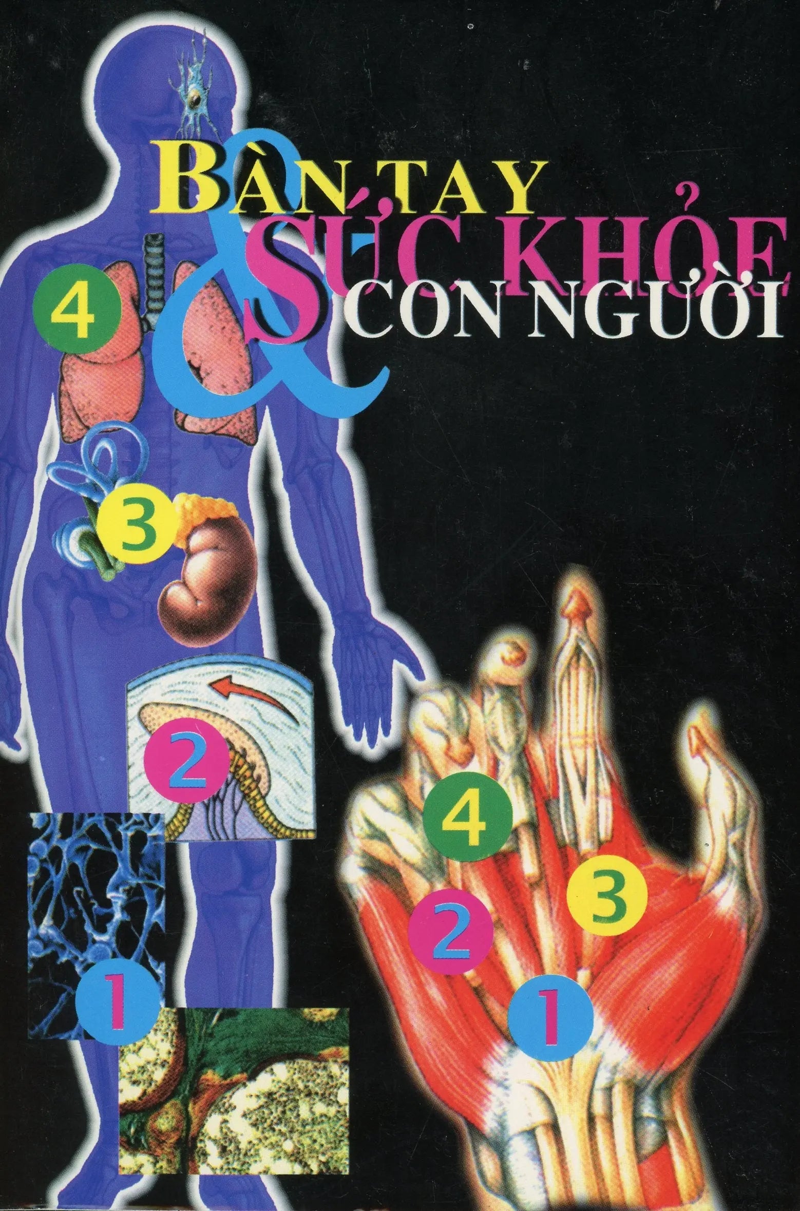 Bàn tay với sức khỏe con người