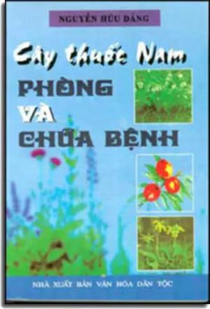 Cây Thuốc Nam Phòng Và Chữa Bệnh . VHDT