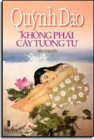 Không Phải Cây Tương Tư HOI NHA VAN