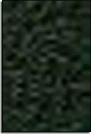 Món Ăn Gia Ðình Tập 10 TRE