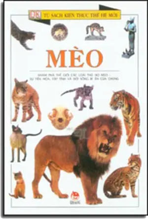 Mèo KIM DONG
