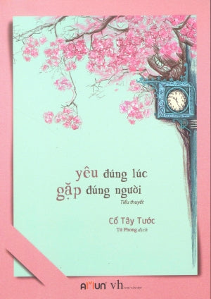 Yêu Đúng Lúc Gặp Đúng Người (Tiểu Thuyết). Văn Học (Đinh Tị)