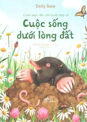 Cuốn Sách Đầu Đời Tuyệt Đẹp Về Cuộc Sống Dưới Lòng Đất Hội Nhà Văn (Nhã Nam)