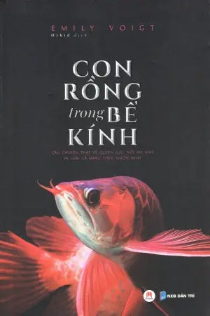 Con Rồng Trong Bể Kinh / The Dragon Behind The Glass . Dân Trí (H.Hoàng)