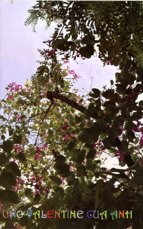 Cho Valentine Của Anh. (16 Bài Thơ Tình của Kim Vũ) . Tác giả