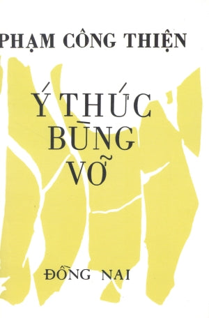 Ý Thức Bùng Vỡ (Sách Trước 1975) Huệ Quang (Ảnh Ấn)