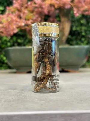 Đông Trùng Hạ Thảo (Cordyceps) - BHUTAN Grade-B 2gr . ROYAL GOV. OF BHUTAN