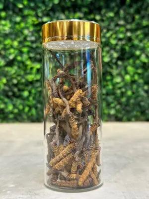 Đông Trùng Hạ Thảo (Cordyceps) - BHUTAN Grade - A (10gr.)