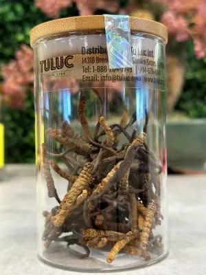 Đông Trùng Hạ Thảo (Cordyceps) - BHUTAN Grade-A 10gr. ROYAL GOV. OF BHUTAN