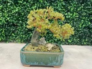 #07. Cây Bonsai Bằng Đá - GemTree (Size Nhỏ, Đá Màu Xanh) Gem VN