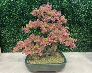 #21. Cây Bonsai bằng Đá - GemTree (Size Medium, Bông Đá Màu Hồng + Xanh) Gem VN