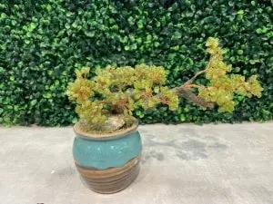 #06. Cây Bonsai Bằng Đá - GemTree (Size Nhỏ, Đá Màu Xanh)