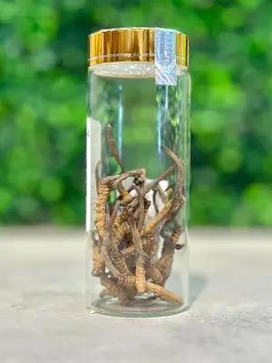 Đông Trùng Hạ Thảo (Cordyceps) - BHUTAN Grade-A 5gr ROYAL GOV. OF BHUTAN