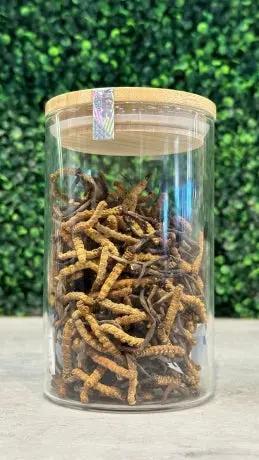 Đông Trùng Hạ Thảo (Cordyceps) - BHUTAN Grade - A 50 gr. ROYAL GOV. OF BHUTAN
