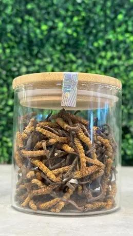 Đông Trùng Hạ Thảo (Cordyceps) - BHUTAN Grade - A 40 gr.