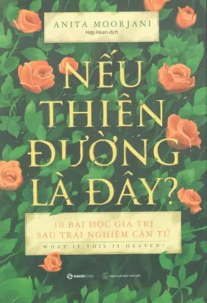 Nếu Thiên Đường Là Đây? / What If This Is Heaven ? Thế Giới (SaigonBooks)