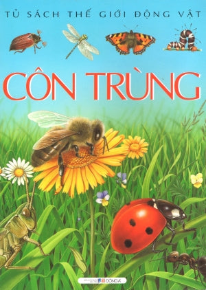 Tủ Sách Thế Giới Động Vật - Côn Trùng Dân Trí (DongA)