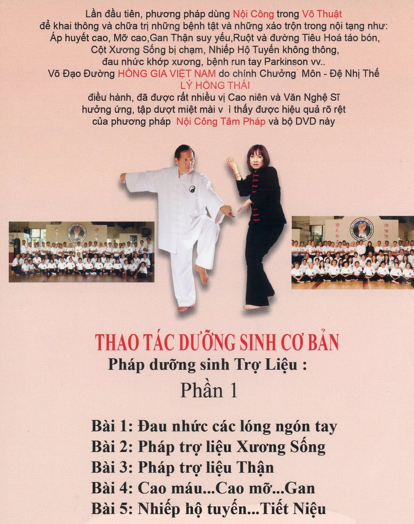 Hồng Gia Việt Nam - Khí Công Dưỡng Sinh Bộ 1 (2 đĩa) Hồng Gia Việt Nam