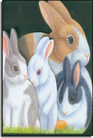 Thỏ Con - Rabbit (Sách Cho Bé Học Tiếng Anh)