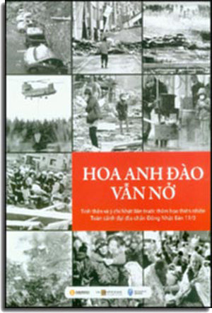 Hoa Anh Đào Vẫn Nở .