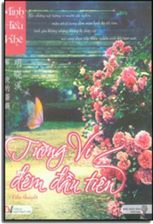 Tường Vi Đêm Đầu Tiên - Tập 1: Di Yi Ye Qiang Wei Thời Đại