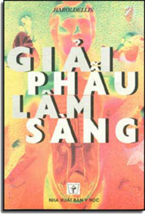 Giải Phẫu Lâm Sàng (Giải Phẫu Học Lâm Sàng) .