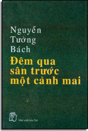 Ðêm Qua Sân Trước Một Cành Mai .