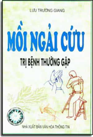 Mồi Ngãi Cứu Trị Bệnh Thường Gặp