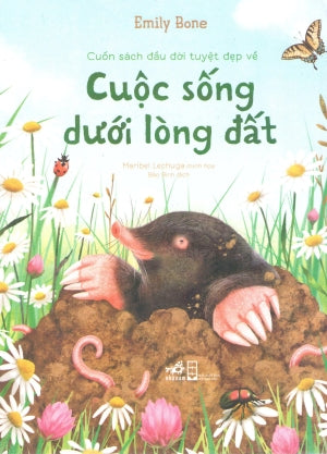 Cuốn Sách Đầu Đời Tuyệt Đẹp Về Cuộc Sống Dưới Lòng Đất