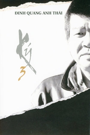 Ký Đinh Quang Anh Thái Ký Tập 3 (Ký 3)