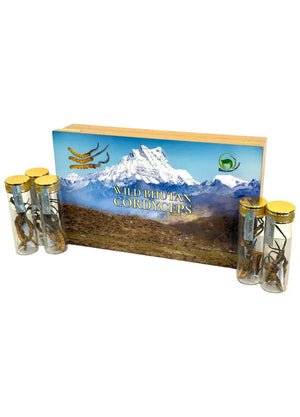 Đông Trùng Hạ Thảo (Cordyceps) - BHUTAN Grade - A (10gr.) ROYAL GOV. OF BHUTAN