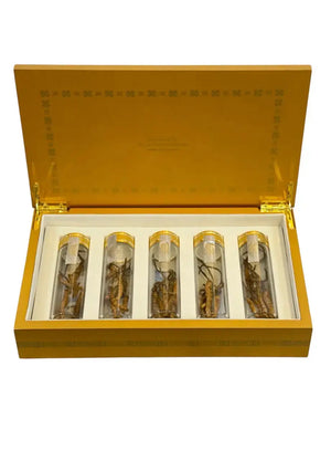 Đông Trùng Hạ Thảo (Cordyceps) - BHUTAN Grade - A (10gr.) ROYAL GOV. OF BHUTAN