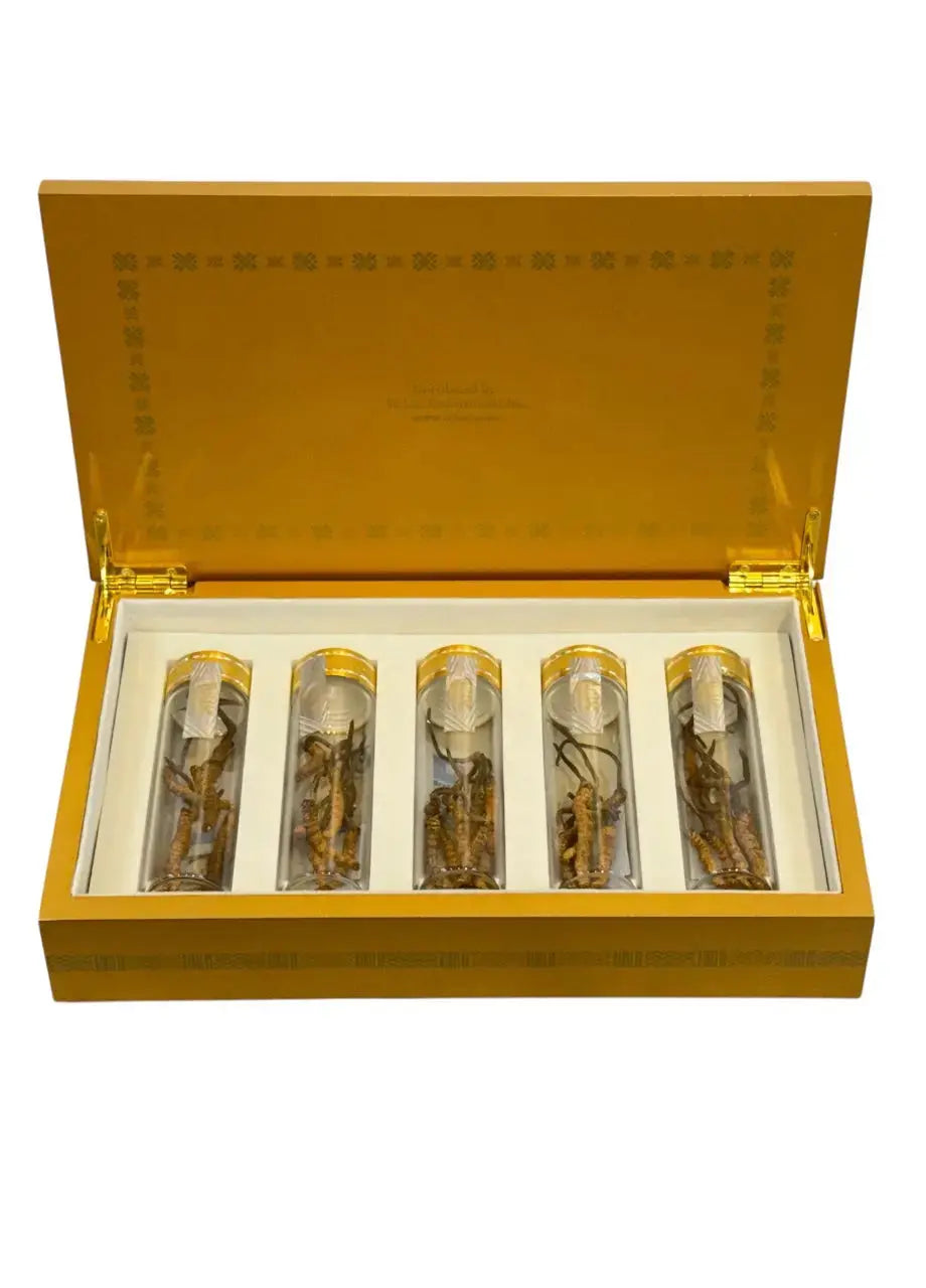 Đông Trùng Hạ Thảo (Cordyceps) - BHUTAN Grade - A (10gr.) ROYAL GOV. OF BHUTAN