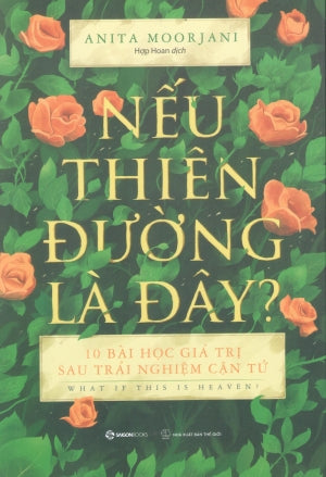Nếu Thiên Đường Là Đây? / What If This Is Heaven ?