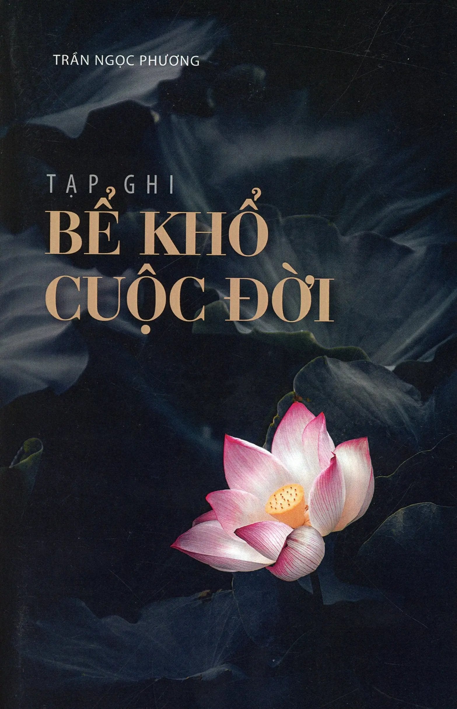 Bể Khổ Cuộc Đời (Tạp Ghi)